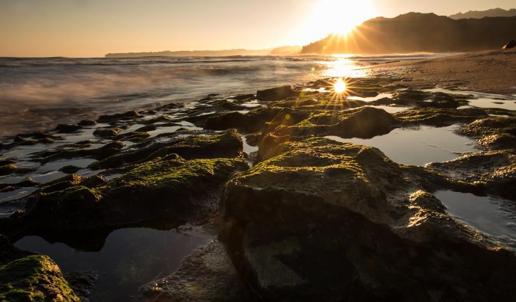 Hanalei Colony Resort Εξωτερικό φωτογραφία