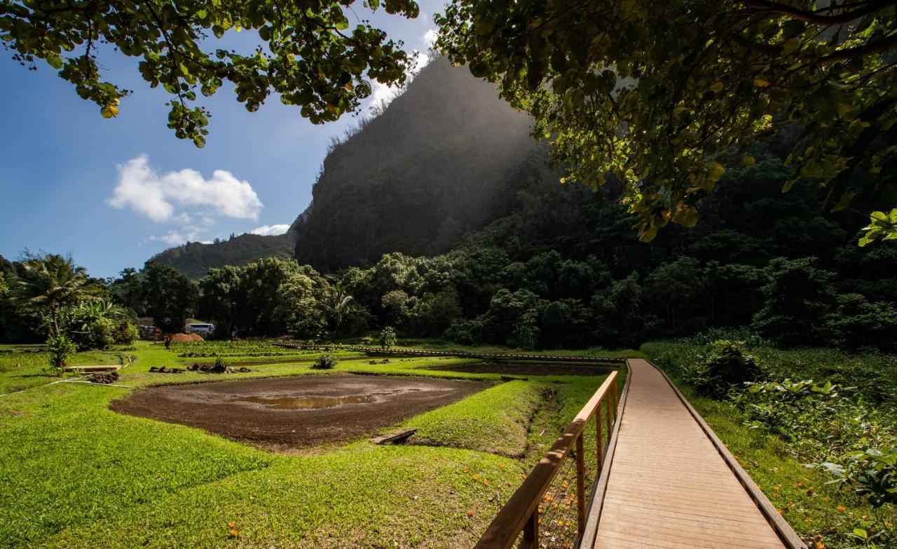 Hanalei Colony Resort Εξωτερικό φωτογραφία